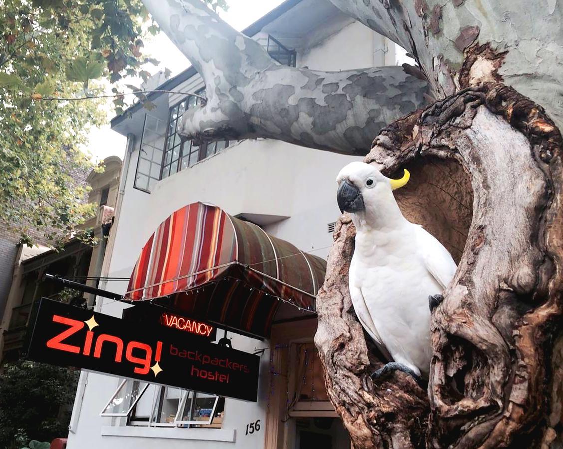 הוסטל סידני Zing Backpackers מראה חיצוני תמונה